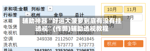 辅助神器“好运大菠萝到底有没有挂透视”(作弊)辅助透视教程-第1张图片