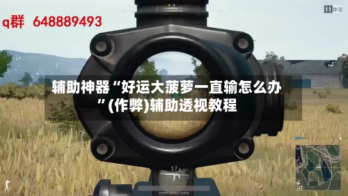 辅助神器“好运大菠萝一直输怎么办”(作弊)辅助透视教程-第1张图片