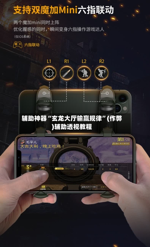 辅助神器“玄龙大厅输赢规律”(作弊)辅助透视教程-第3张图片