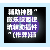 辅助神器“微乐陕西挖坑辅助插件”(作弊)辅助透视教程-第1张图片