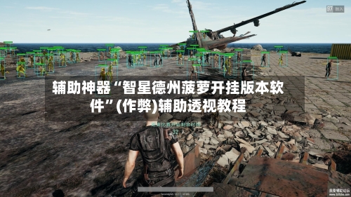 辅助神器“智星德州菠萝开挂版本软件	”(作弊)辅助透视教程-第1张图片