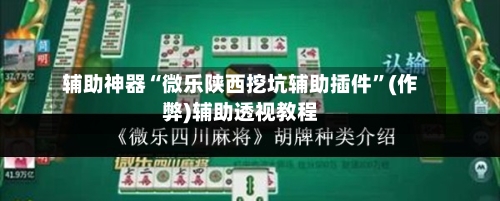 辅助神器“微乐陕西挖坑辅助插件”(作弊)辅助透视教程-第3张图片