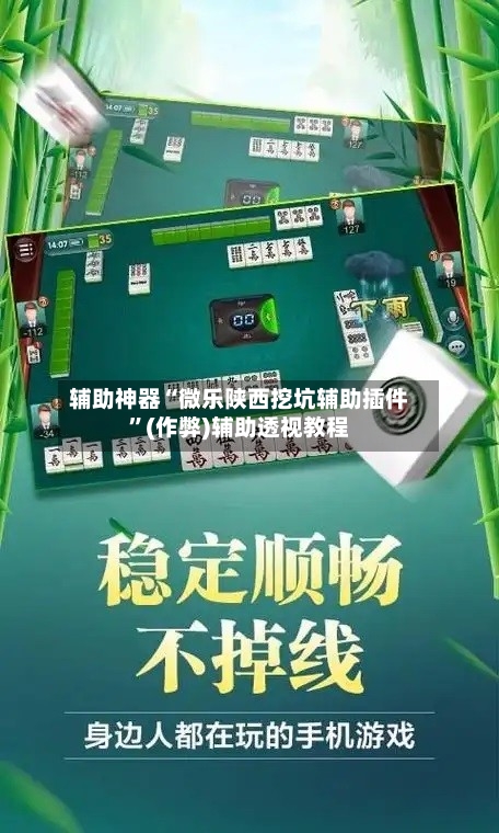 辅助神器“微乐陕西挖坑辅助插件”(作弊)辅助透视教程-第2张图片