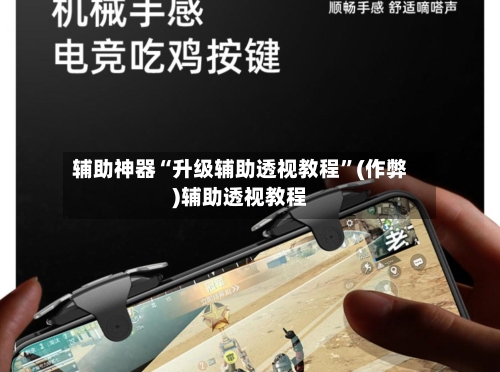 辅助神器“升级辅助透视教程”(作弊)辅助透视教程-第2张图片