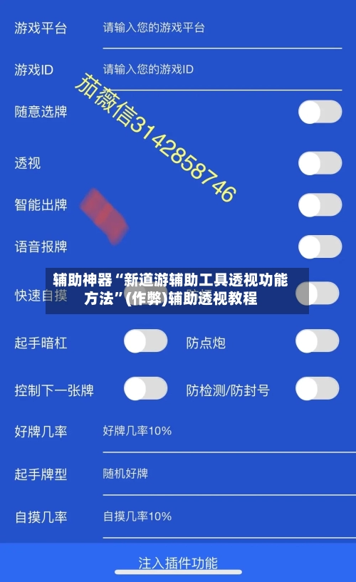 辅助神器“新道游辅助工具透视功能方法”(作弊)辅助透视教程-第2张图片