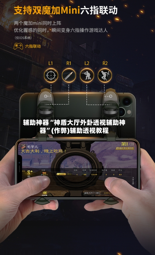 辅助神器“神盾大厅外卦透视辅助神器”(作弊)辅助透视教程-第2张图片