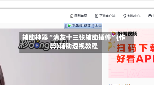 辅助神器“清龙十三张辅助插件”(作弊)辅助透视教程-第2张图片