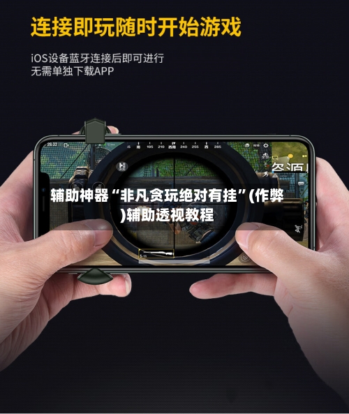 辅助神器“非凡贪玩绝对有挂”(作弊)辅助透视教程-第2张图片