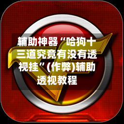 辅助神器“哈狗十三道究竟有没有透视挂”(作弊)辅助透视教程-第2张图片
