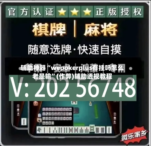 辅助神器“wepokerplus有挂吗怎么老是输”(作弊)辅助透视教程-第2张图片