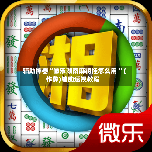辅助神器“微乐湖南麻将挂怎么用 	”(作弊)辅助透视教程-第2张图片