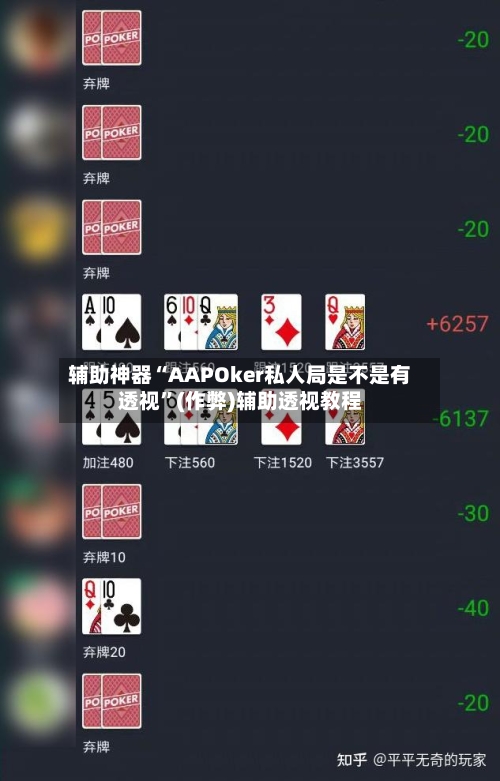 辅助神器“AAPOker私人局是不是有透视”(作弊)辅助透视教程-第1张图片