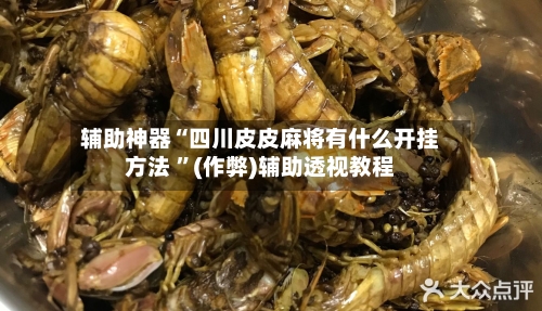 辅助神器“四川皮皮麻将有什么开挂方法 ”(作弊)辅助透视教程-第2张图片