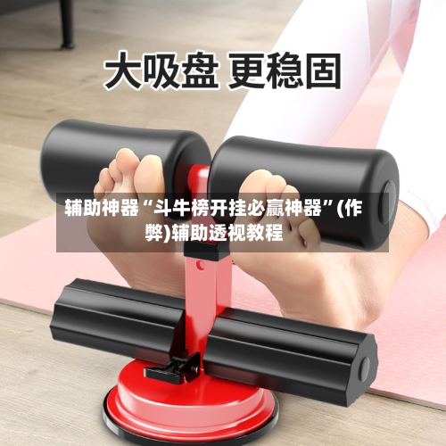 辅助神器“斗牛榜开挂必赢神器”(作弊)辅助透视教程-第3张图片