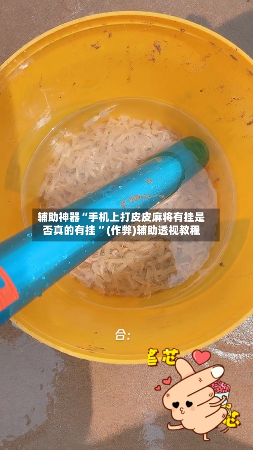 辅助神器“手机上打皮皮麻将有挂是否真的有挂 ”(作弊)辅助透视教程-第1张图片