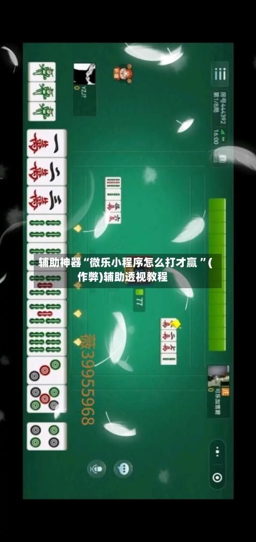 辅助神器“微乐小程序怎么打才赢 ”(作弊)辅助透视教程-第2张图片