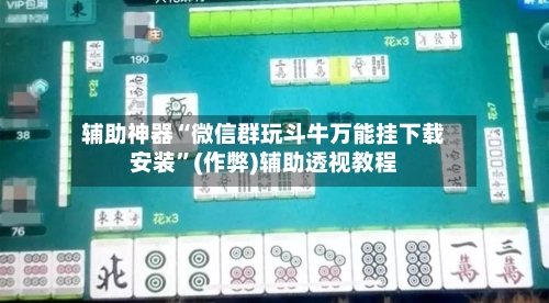 辅助神器“微信群玩斗牛万能挂下载安装”(作弊)辅助透视教程-第3张图片