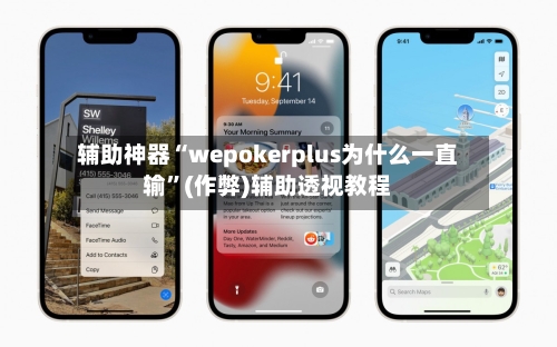 辅助神器“wepokerplus为什么一直输”(作弊)辅助透视教程-第2张图片