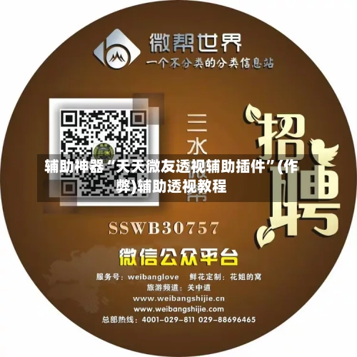 辅助神器“天天微友透视辅助插件	”(作弊)辅助透视教程-第2张图片