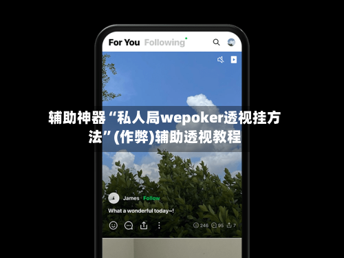 辅助神器“私人局wepoker透视挂方法”(作弊)辅助透视教程-第3张图片