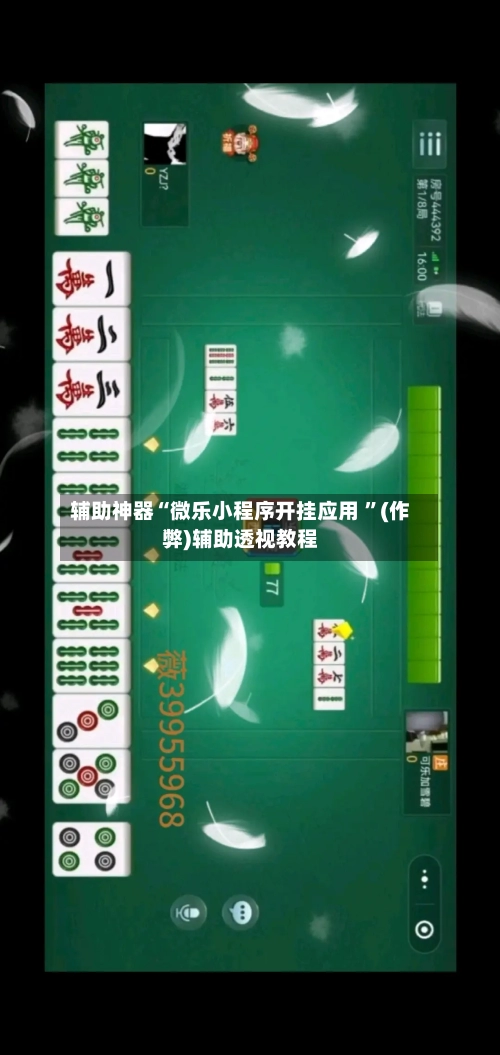 辅助神器“微乐小程序开挂应用 ”(作弊)辅助透视教程-第2张图片