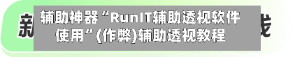 辅助神器“RunIT辅助透视软件使用	”(作弊)辅助透视教程-第2张图片