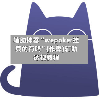 辅助神器“wepoker挂真的有吗”(作弊)辅助透视教程-第1张图片