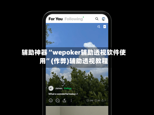 辅助神器“wepoker辅助透视软件使用	”(作弊)辅助透视教程-第3张图片