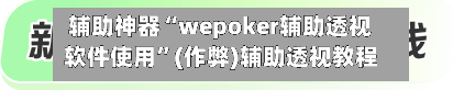 辅助神器“wepoker辅助透视软件使用”(作弊)辅助透视教程-第2张图片
