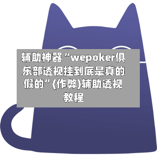 辅助神器“wepoker俱乐部透视挂到底是真的假的”(作弊)辅助透视教程-第2张图片