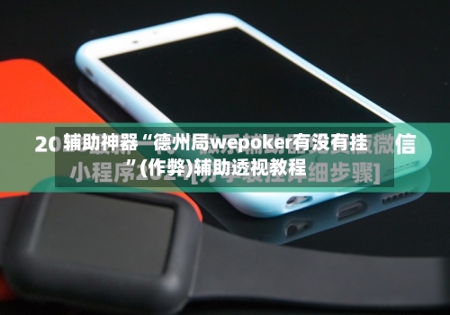 辅助神器“德州局wepoker有没有挂”(作弊)辅助透视教程-第1张图片