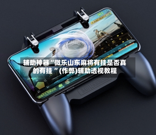 辅助神器“微乐山东麻将有挂是否真的有挂 	”(作弊)辅助透视教程-第2张图片