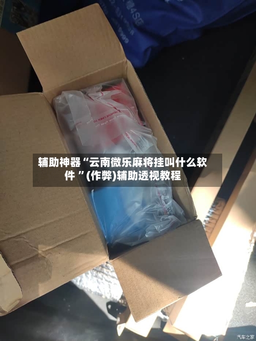 辅助神器“云南微乐麻将挂叫什么软件 ”(作弊)辅助透视教程-第2张图片