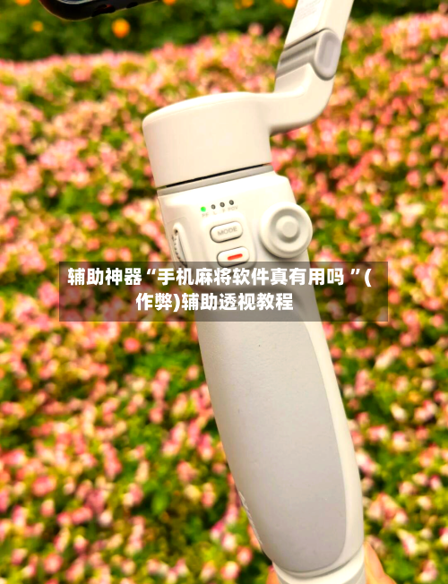 辅助神器“手机麻将软件真有用吗 	”(作弊)辅助透视教程-第1张图片