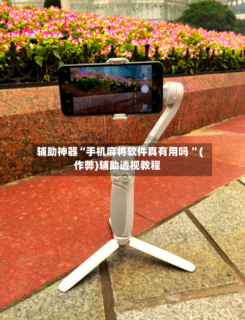 辅助神器“手机麻将软件真有用吗 ”(作弊)辅助透视教程-第3张图片