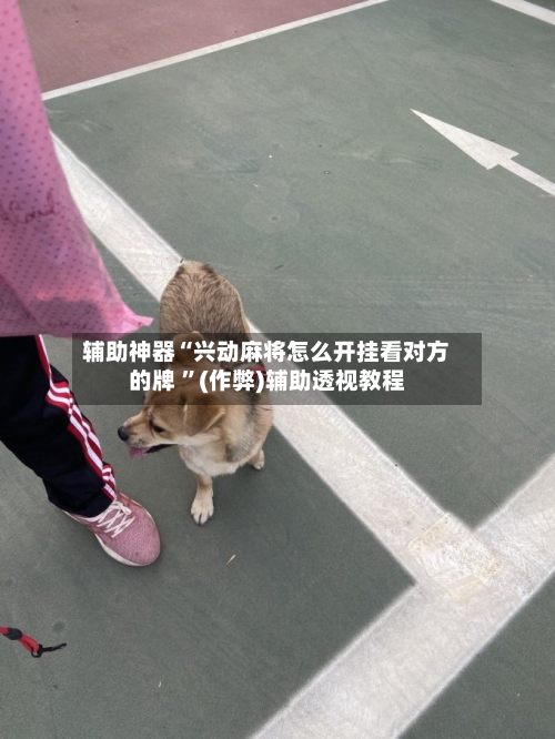 辅助神器“兴动麻将怎么开挂看对方的牌 ”(作弊)辅助透视教程-第2张图片