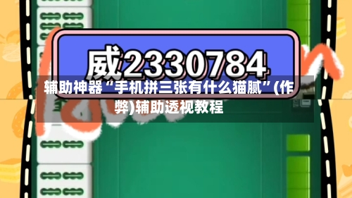 辅助神器“手机拼三张有什么猫腻”(作弊)辅助透视教程-第1张图片