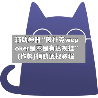 辅助神器“微扑克wepoker是不是有透视挂”(作弊)辅助透视教程-第2张图片