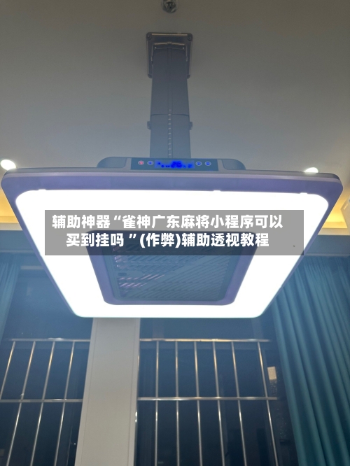 辅助神器“雀神广东麻将小程序可以买到挂吗 ”(作弊)辅助透视教程-第2张图片