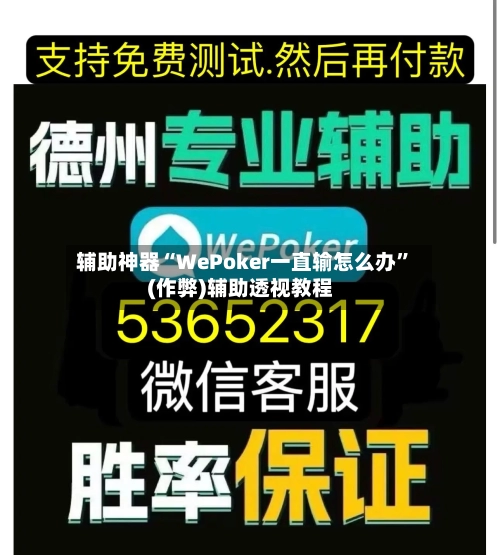 辅助神器“WePoker一直输怎么办”(作弊)辅助透视教程-第3张图片