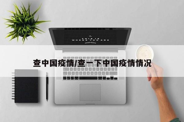 查中国疫情/查一下中国疫情情况